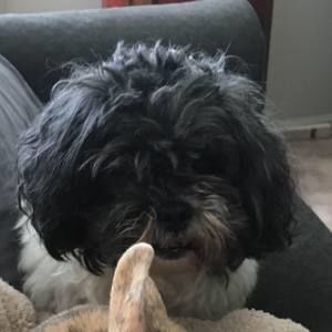 Meet your Posher, Dee